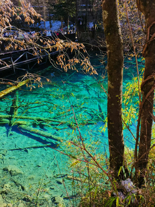 4-Day Essential Tour: Chengdu - Jiuzhaigou - Giant Pandas - Sanxingdui Museum