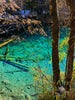 4-Day Essential Tour: Chengdu - Jiuzhaigou - Giant Pandas - Sanxingdui Museum