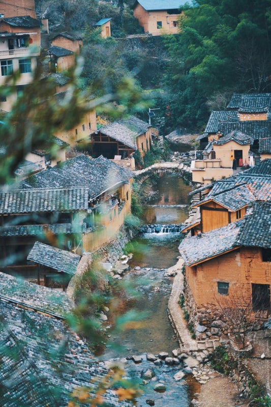 Zhejiang 4-Day Itinerary Explore the Beauty of Zhejiang