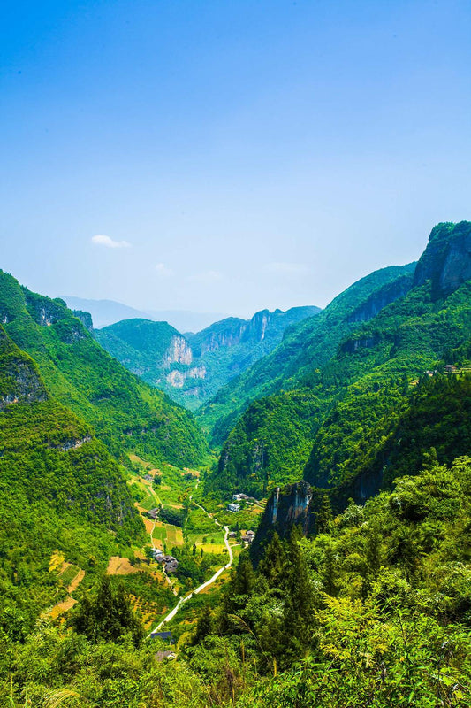 4-Day Yangtze River Cruise from Chongqing to Yichang