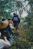 Zhejiang 4-Day Itinerary Explore the Beauty of Zhejiang