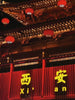 6-day Cultural Tour of Xi'an
