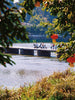 Leshan City Walk & Culinary Experience:   One-Day Tour
