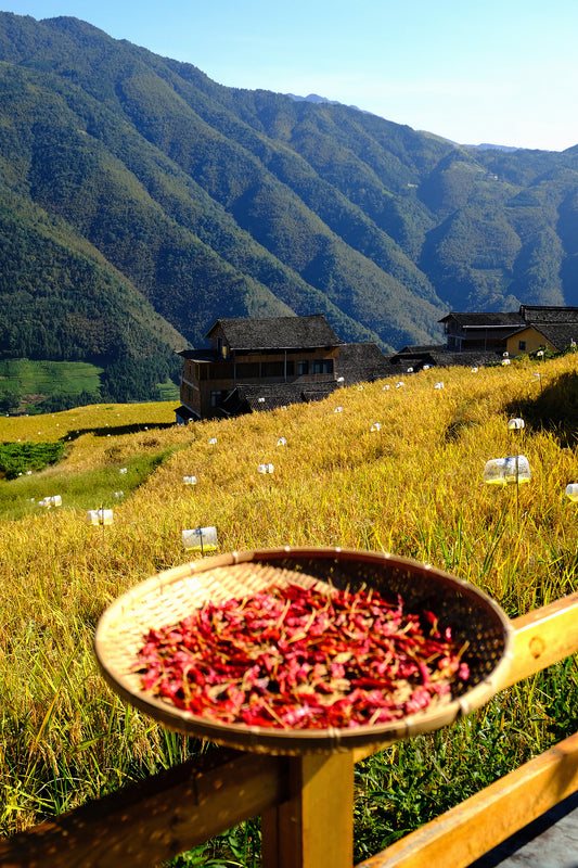 5-Day  Guangxi Cultural Exploration