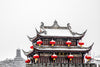 Dujiangyan Panda Experience & Sightseeing