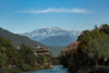 Dujiangyan Panda Experience & Sightseeing