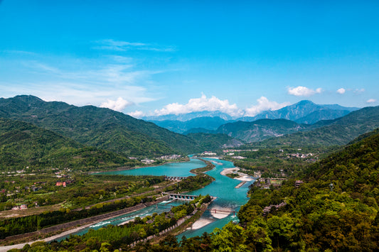 Dujiangyan Panda Experience & Sightseeing