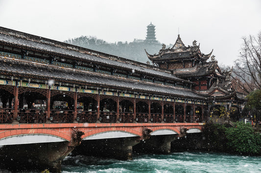 Dujiangyan Panda Experience & Sightseeing