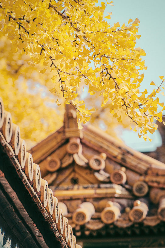 4-Day Beijing & Tianjin Historical and Cultural Twin-City Tour
