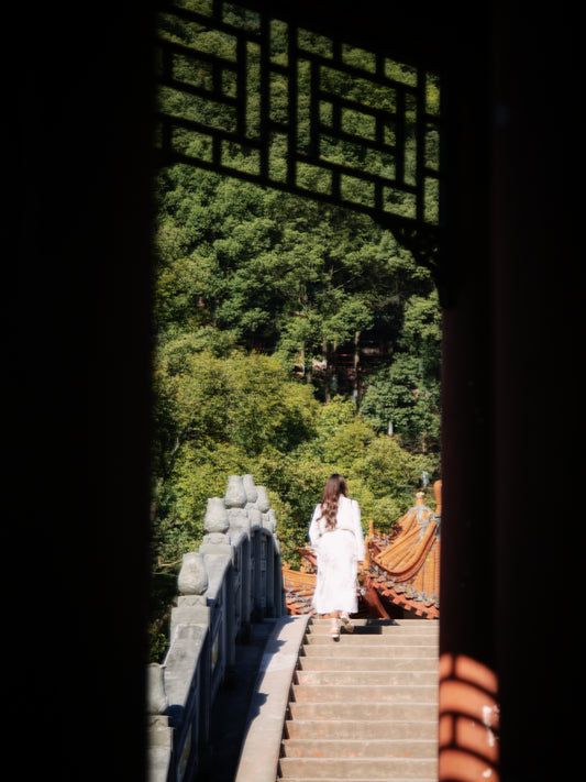 Leshan City Walk & Culinary Experience:   One-Day Tour